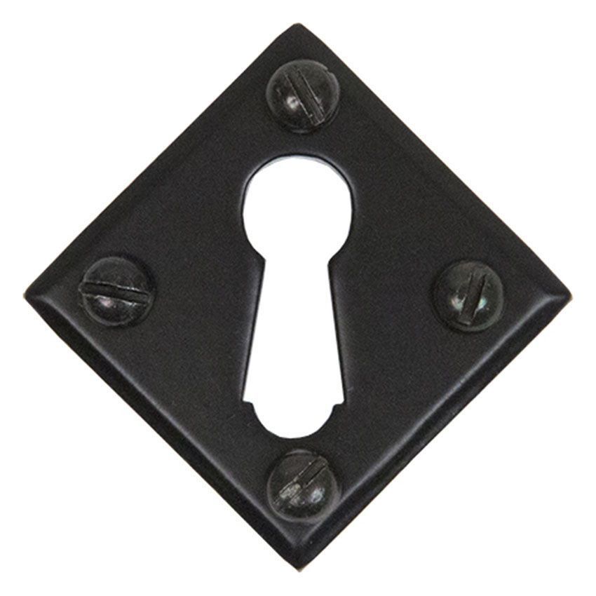 Picture of Black Diamond Escutcheon - 33965