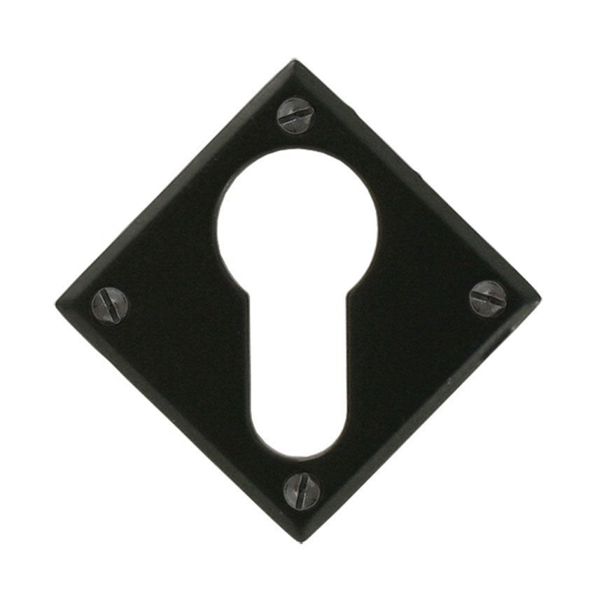 Picture of Black Diamond Euro Escutcheon - 33236