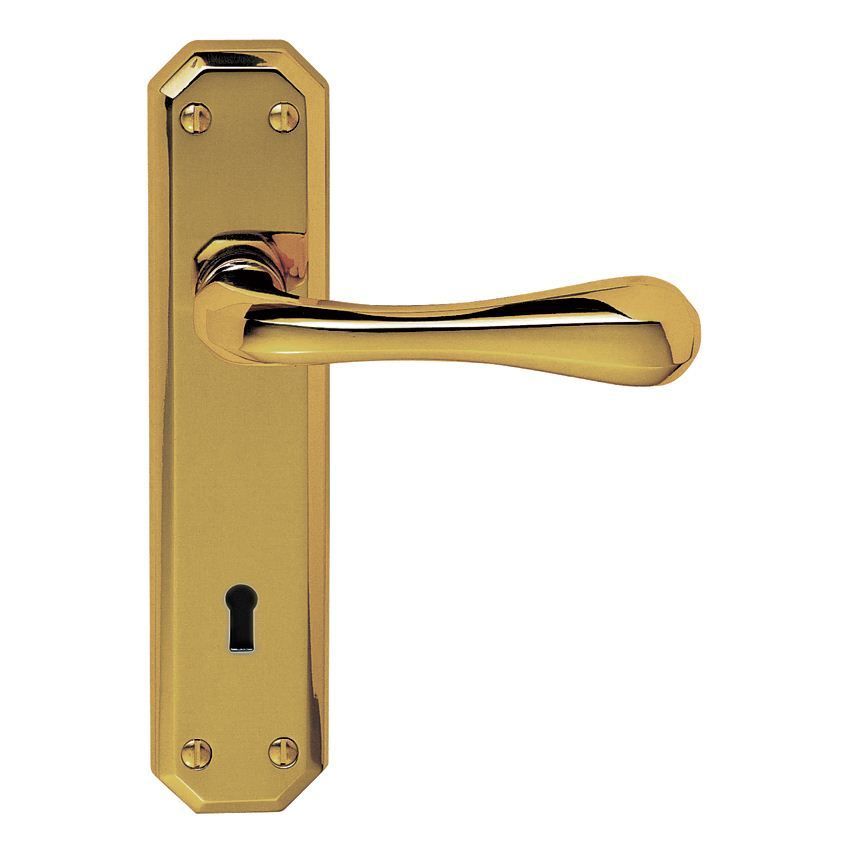Picture of Eden Lock Handle - DL410PVD