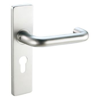 Safety Euro Profile handle on backplate - ZAA011EPSA Picture of Safety Euro Profile handle on backplate - ZAA011EPSA