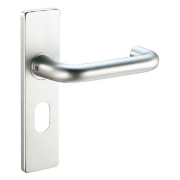 Safety Oval Profile handle on backplate - ZAA011OPSA Picture of Safety Oval Profile handle on backplate - ZAA011OPSA