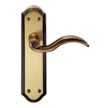 Picture of Wentworth Door Handles - DL341FB