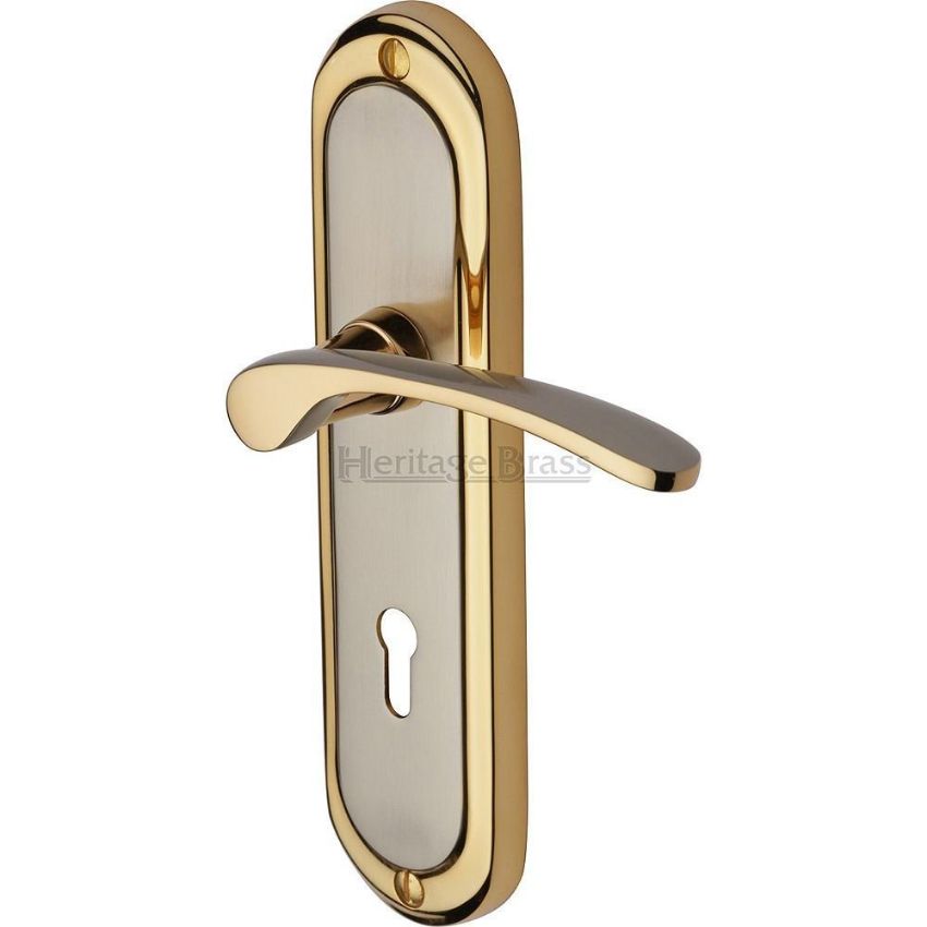 Picture of Ambassador Lock Handle - AMB6200JP