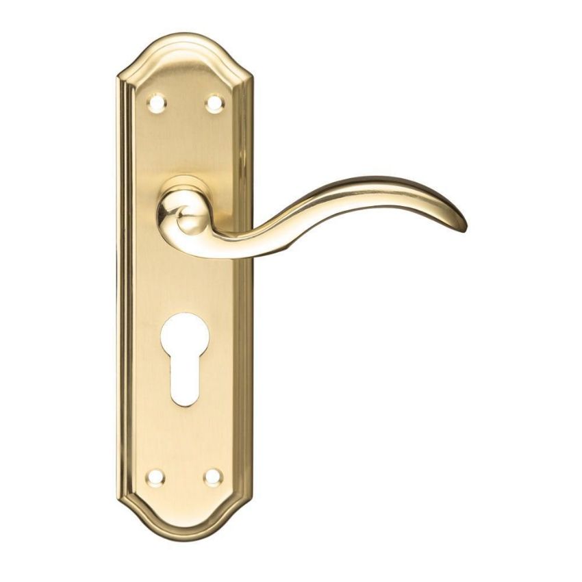 Picture of Winchester Euro Cylinder Door Handle - Fb051Epsbpb