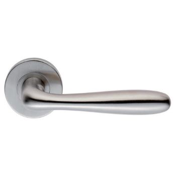 Stainless Steel Bulb Door Handle on Sprung Rose - CSL1127SSS Picture of Stainless Steel Bulb Door Handle on Sprung Rose - CSL1127SSS
