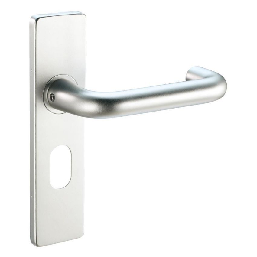 Picture of Safety Oval Profile handle on backplate - ZAA011OPSA