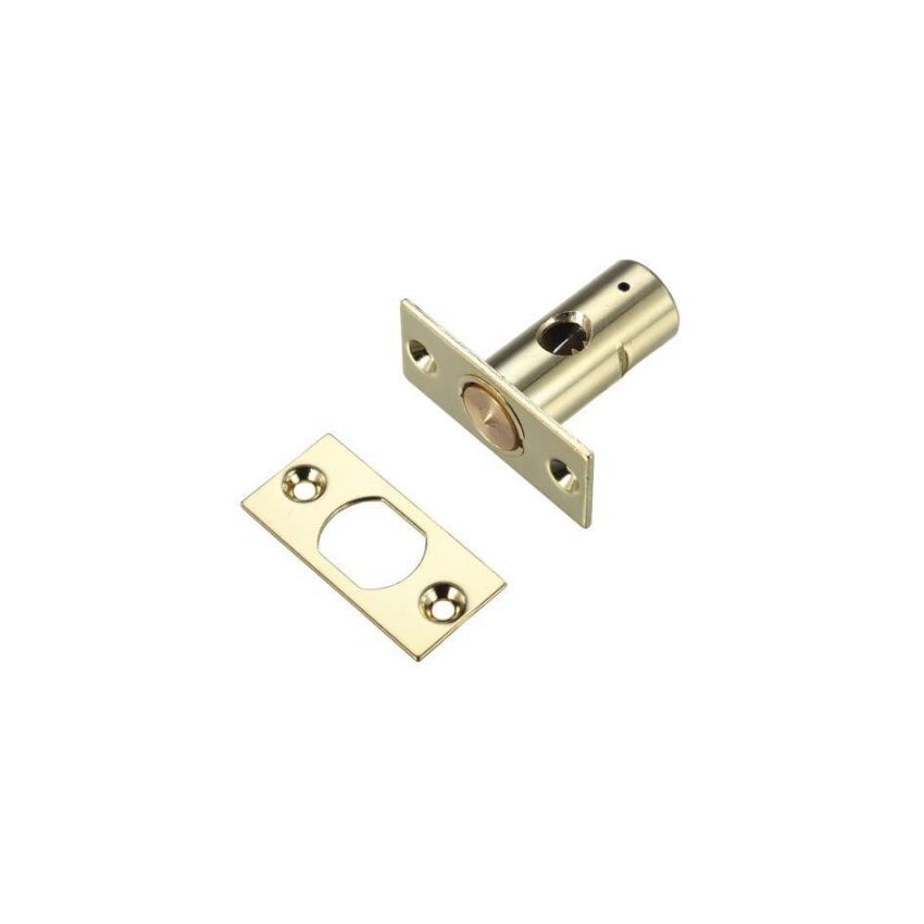 Picture of Window Security Rack Bolt (37mm) - ZRB01EB