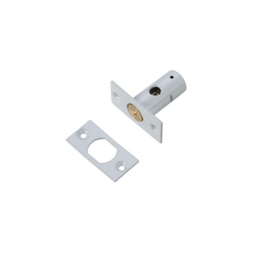 Picture of Window Security Rack Bolt (37mm) - ZRB01PCW