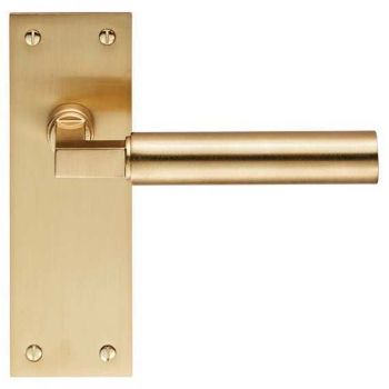 Amiata LEVER ON BACK PLATE - Satin Brass - EUL04SB