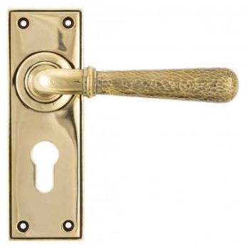 Aged Brass Hammered Newbury Lever Euro Profile on a Backplate - Aged Brass - 46212 Aged Brass Hammered Newbury Lever Euro Profile on a Backplate - Aged Brass - 46212