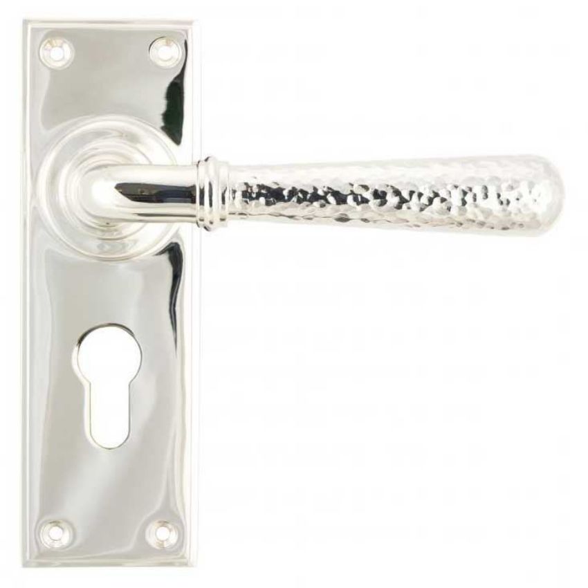 Polished Nickel Hammered Newbury Euro Profile on a Backplate - Polished Nickel - 46220