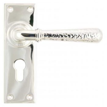 Polished Nickel Hammered Newbury Euro Profile on a Backplate - Polished Nickel - 46220 Polished Nickel Hammered Newbury Euro Profile on a Backplate - Polished Nickel - 46220