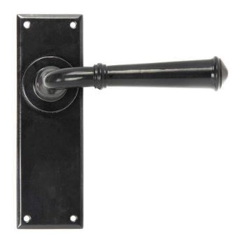 Regency Latch Handle in Black finish