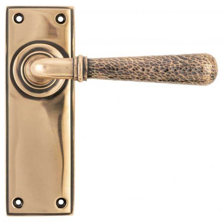 Polished Bronze Hammered Newbury Lever on a Backplate - Polished Bronze - 46226