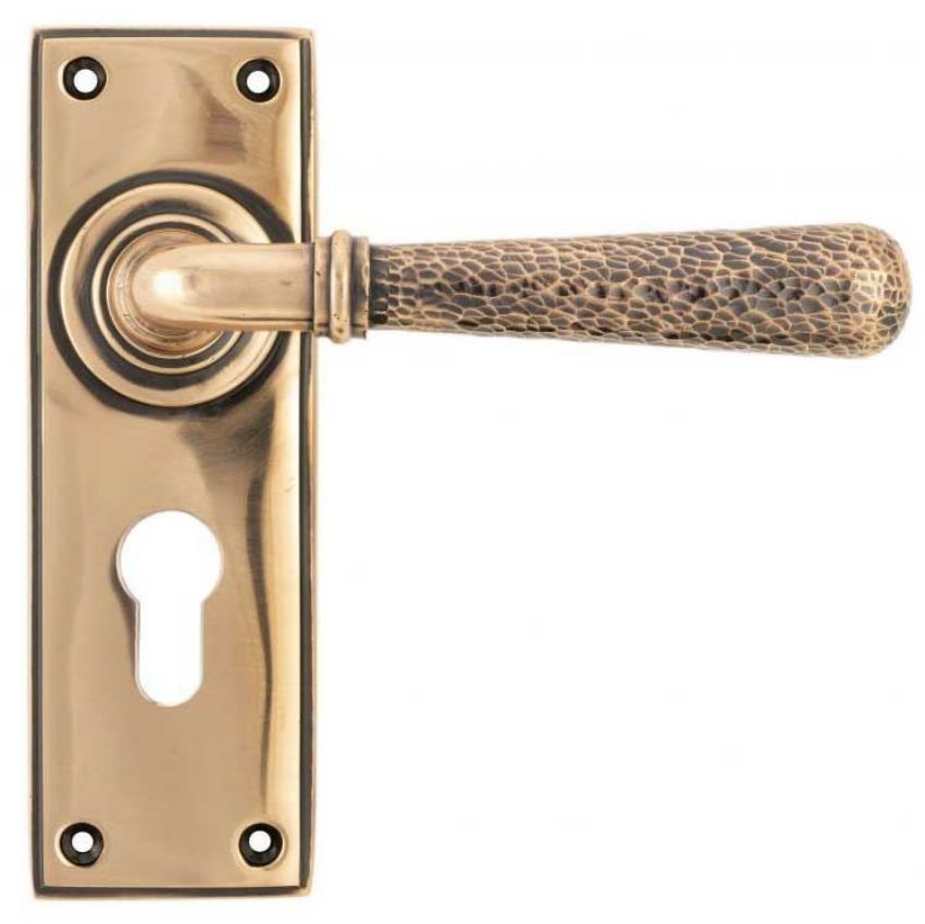 Polished Bronze Hammered Newbury Euro Profile Set on a Backplate - Polished Bronze - 46228 