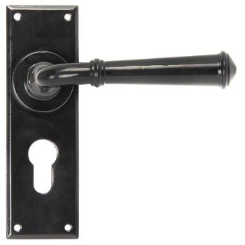 Regency EURO Lock Handle in Black finish - 92060