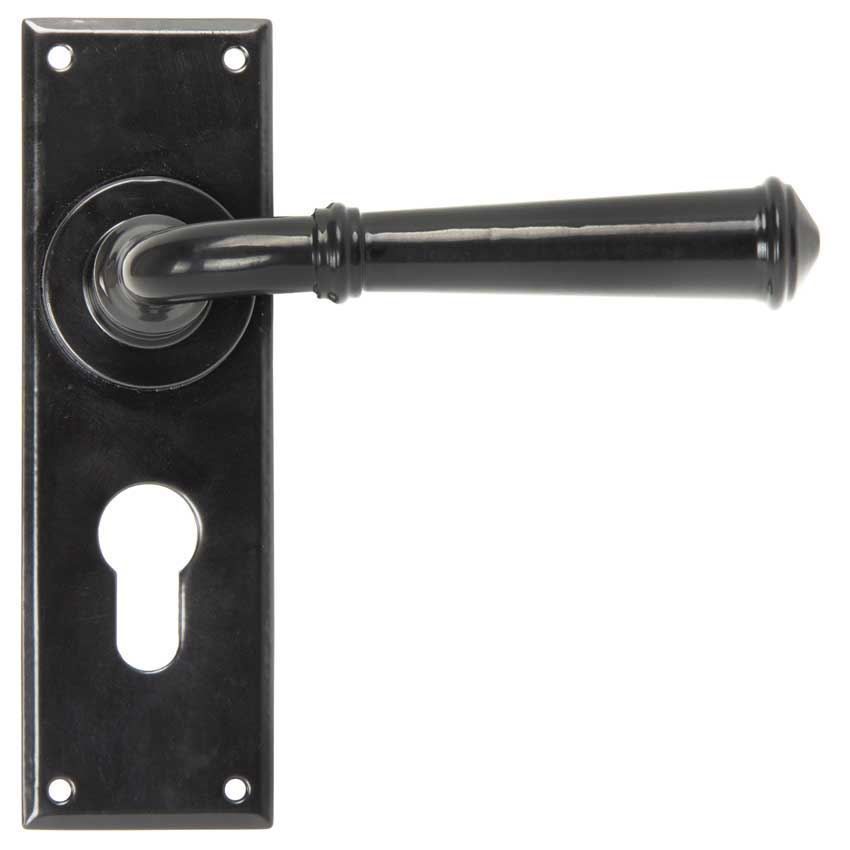 Regency EURO Lock Handle in Black finish - 92060