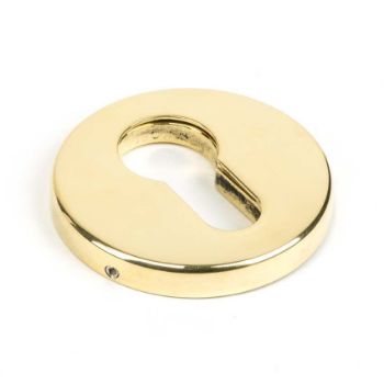 Aged Brass Regency Concealed Escutcheon - 45473