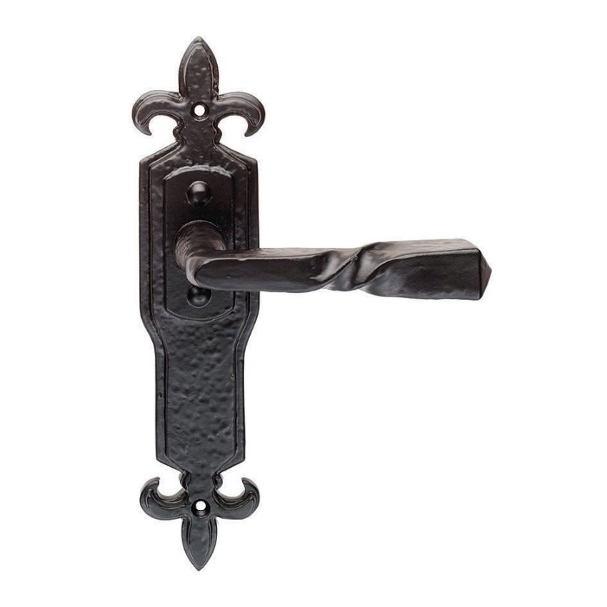 Picture of Barley Twist Black Door Handles On Gothic Style Back Plate - Lf5114
