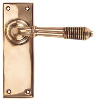 Reeded Latch Handle in Polished Bronze