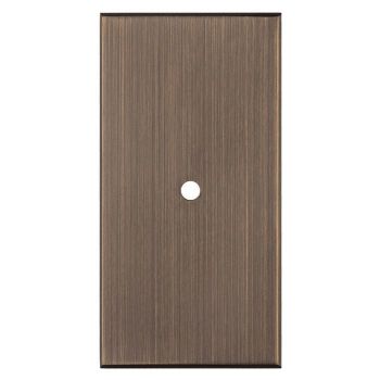 Cabinet Hardware Backplate BP76AB