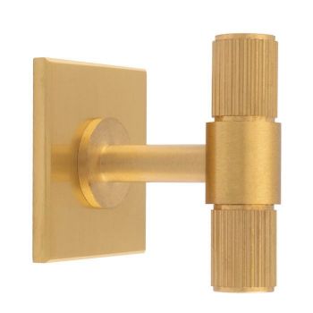 Lines T-Bar Knob on Backplate in Satin Brass- BP711SB40SB