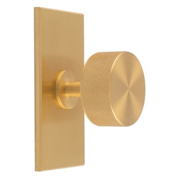 Knurled Radio Knob on Backplate in Satin Brass- BP703SB76SB