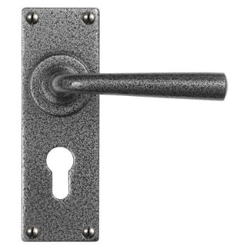 Padstow Satin Steel Euro Profile Handle on a Backplate - NFS608