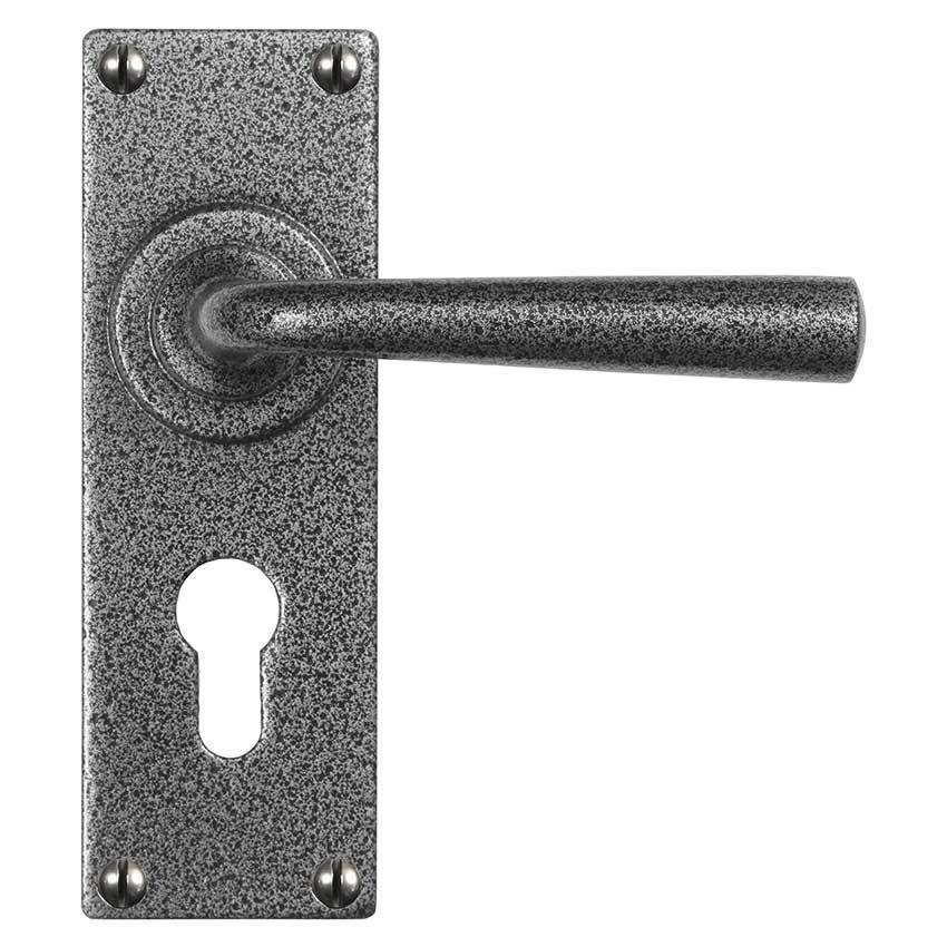 Padstow Satin Steel Euro Profile Handle on a Backplate - NFS608