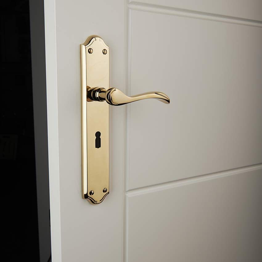 Picture for category Brass Door Handles