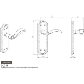 Picture of Wentworth Door Handles - DL341FB