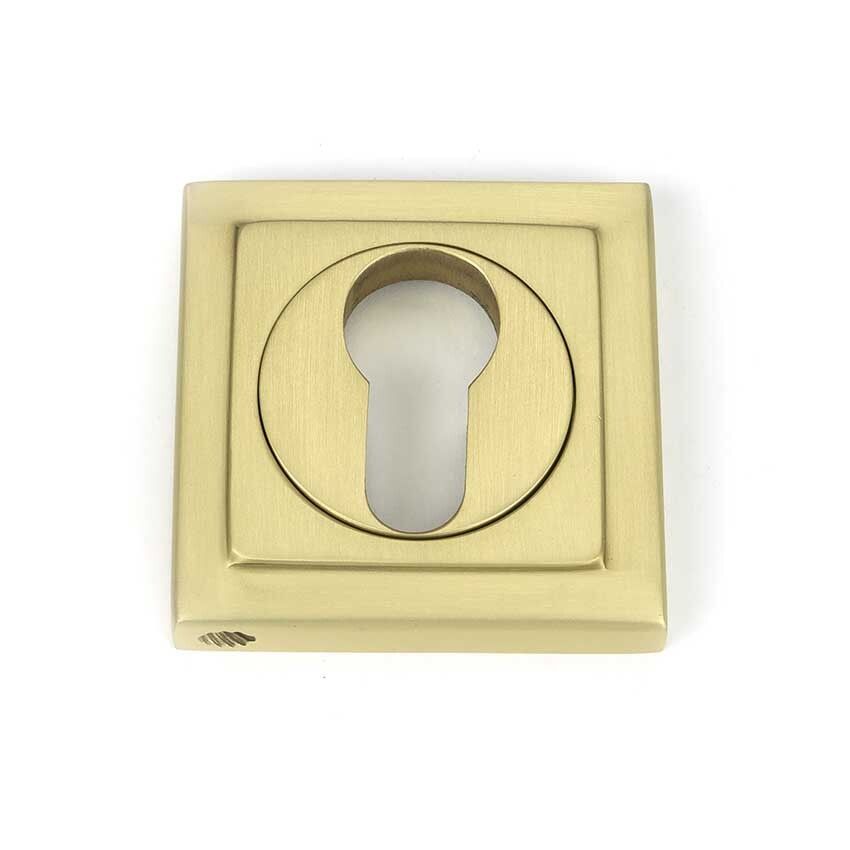 Picture of Satin Brass Square Euro Escutcheon  - 50879