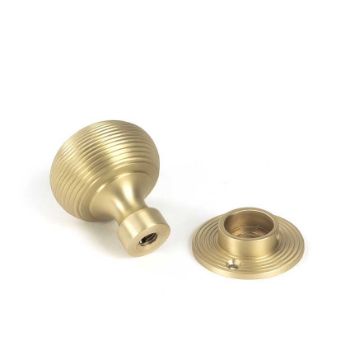 Picture of Satin Brass Heavy Beehive Mortice/Rim Knob Set - 50902