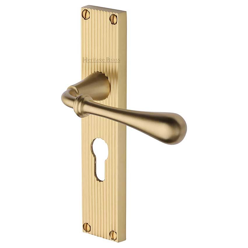 Picture of Roma Reeded Backplate Euro Profile Door Handles In Satin Brass Finish - RR6048-SB