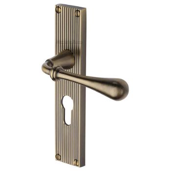 Picture of Roma Reeded Backplate Euro Profile Door Handles In Antique Brass Finish - RR6048-AT Picture of Roma Reeded Backplate Euro Profile Door Handles In Antique Brass Finish - RR6048-AT