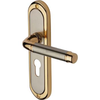 Picture of Saturn Euro Cylinder Lock Handle - SAT1048JP Picture of Saturn Euro Cylinder Lock Handle - SAT1048JP