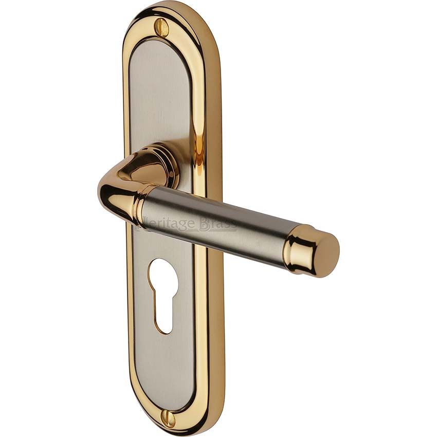 Picture of Saturn Euro Cylinder Lock Handle - SAT1048JP
