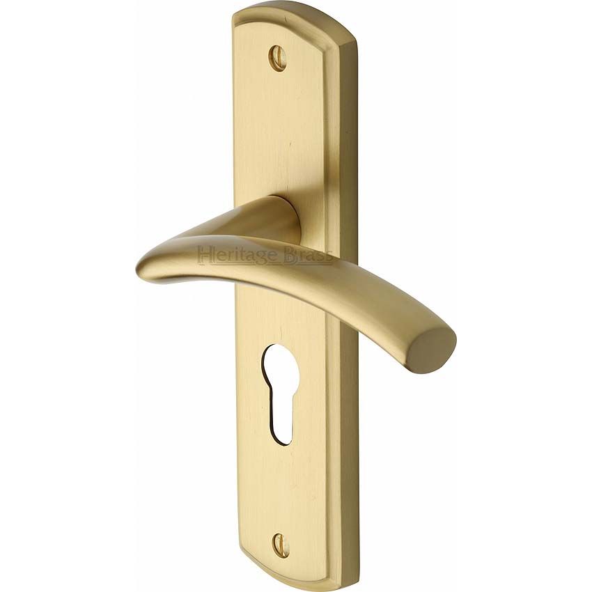 Picture of Centaur Euro Cylinder Lock Handle - CEN1048-SB