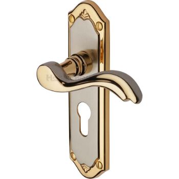 Lisboa Long Plate Euro Cylinder Door Handle - MM994-JP Picture of Lisboa Long Plate Euro Cylinder Door Handle - MM994-JP
