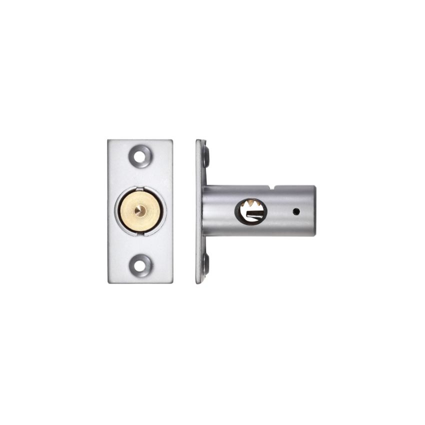 Picture of Window Security Rack Bolt (37mm) - ZRB01SC