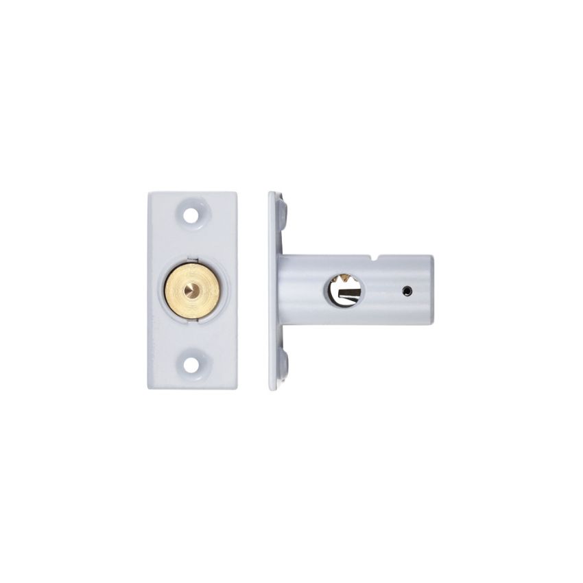 Picture of Window Security Rack Bolt (37mm) - ZRB01PCW