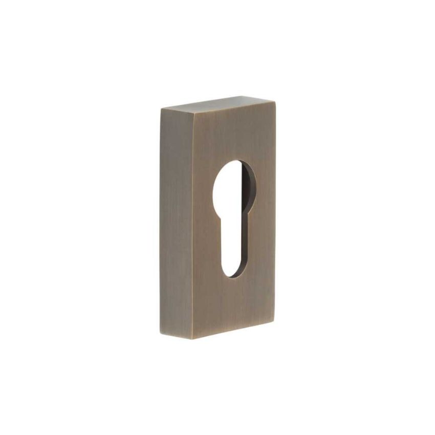 Picture of CRES Rectangular Antique Brass Euro Escutcheon - CRES404AB