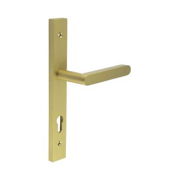 Picture of CR-101 Satin Brass Multi Point Backplate Door Handle - CR-101G4SB