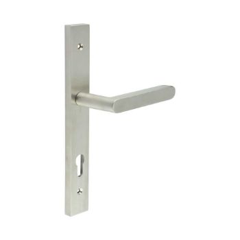 Picture of CR-101 Satin Stainless Steel Multi Point Backplate Door Handle - CR-101G4SSS