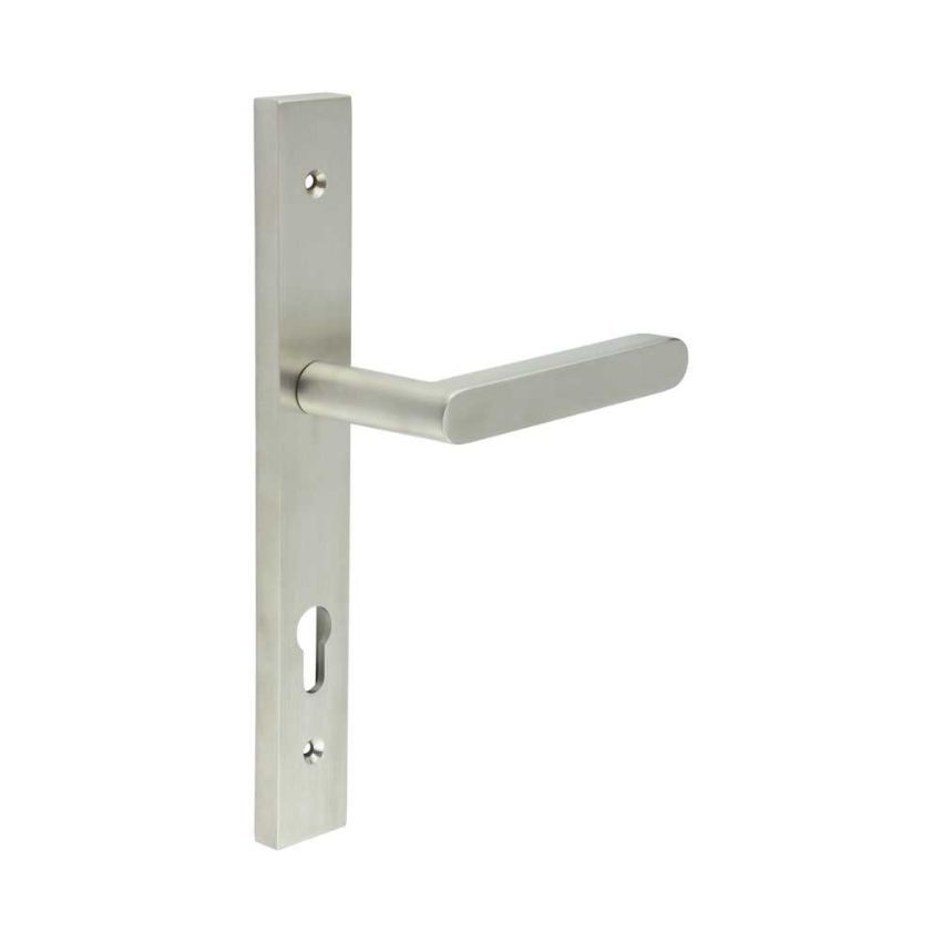 Picture of CR-101 Satin Stainless Steel Multi Point Backplate Door Handle - CR-101G4SSS