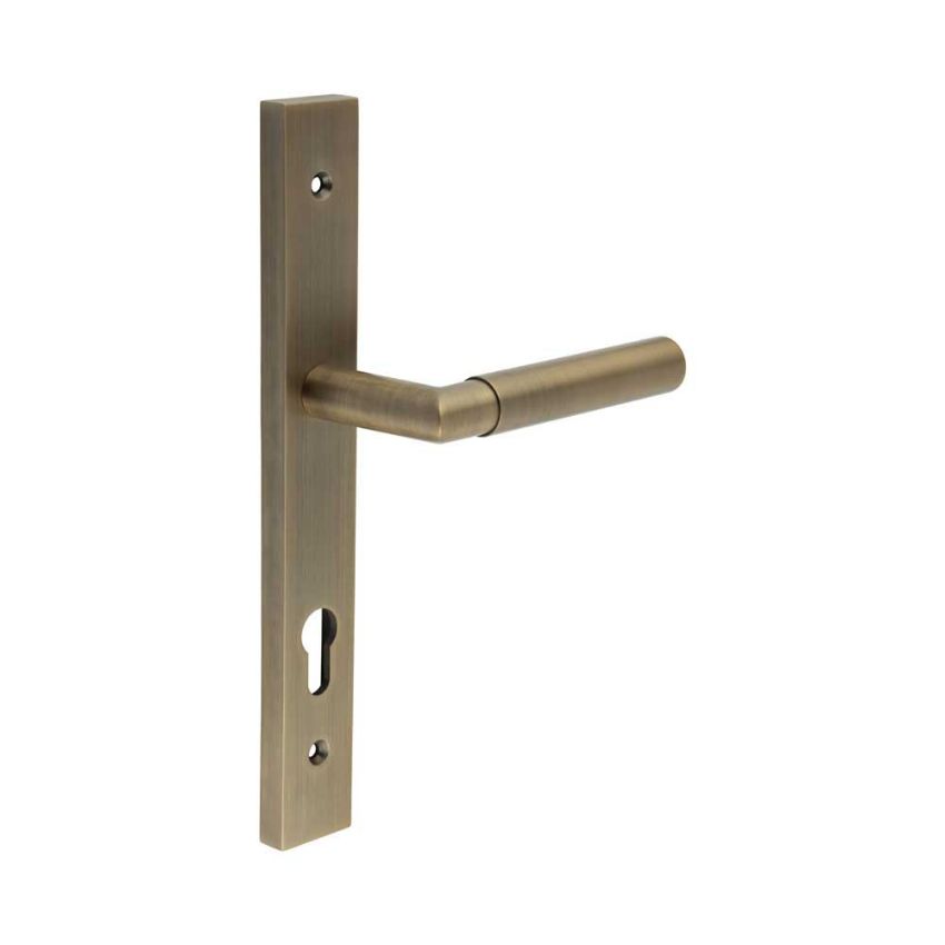 Picture of CR-102 Antique Brass Multi Point Backplate Door Handle - CR-102G4AB