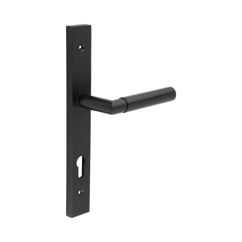 Picture of CR-102 Black Multi Point Backplate Door Handle - CR-102G4MB