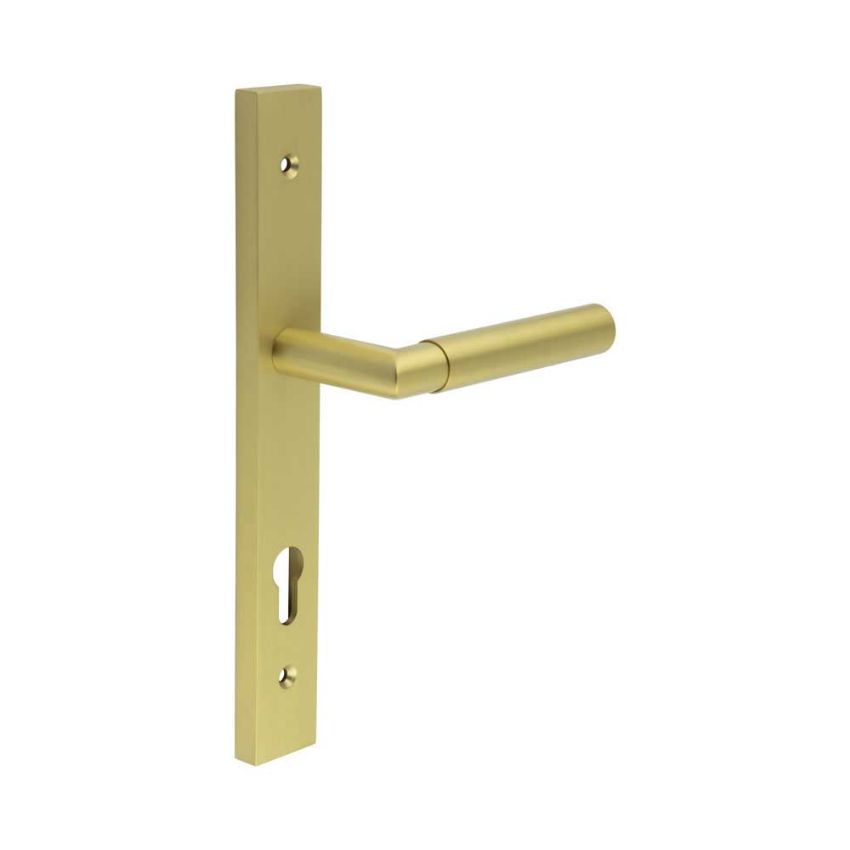 Picture of CR-102 Satin Brass Multi Point Backplate Door Handle - CR-102G4SB