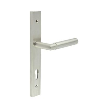 Picture of CR-102 Satin Stainless Steel Multi Point Backplate Door Handle - CR-102G4SSS