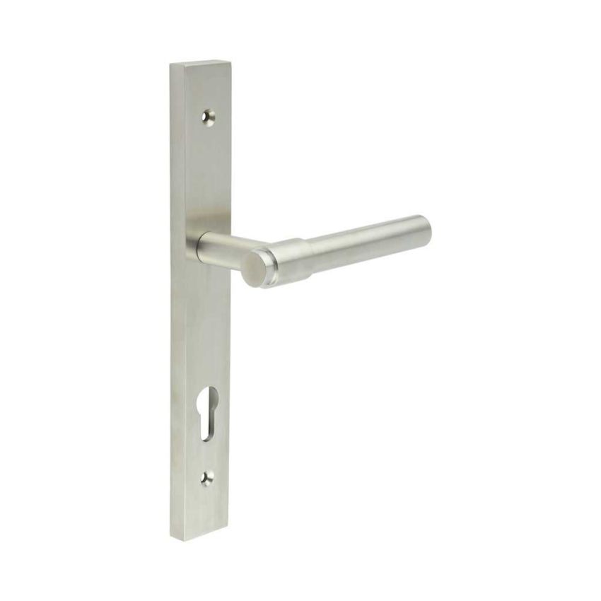 Picture of CR-103 Satin Stainless Steel Multi Point Backplate Door Handle - CR-103G4SSS
